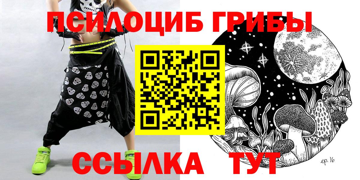 Вязьма  Псилоцибиновые грибы Psilocybine cubensis  купить  сайты  Вход с VPN 